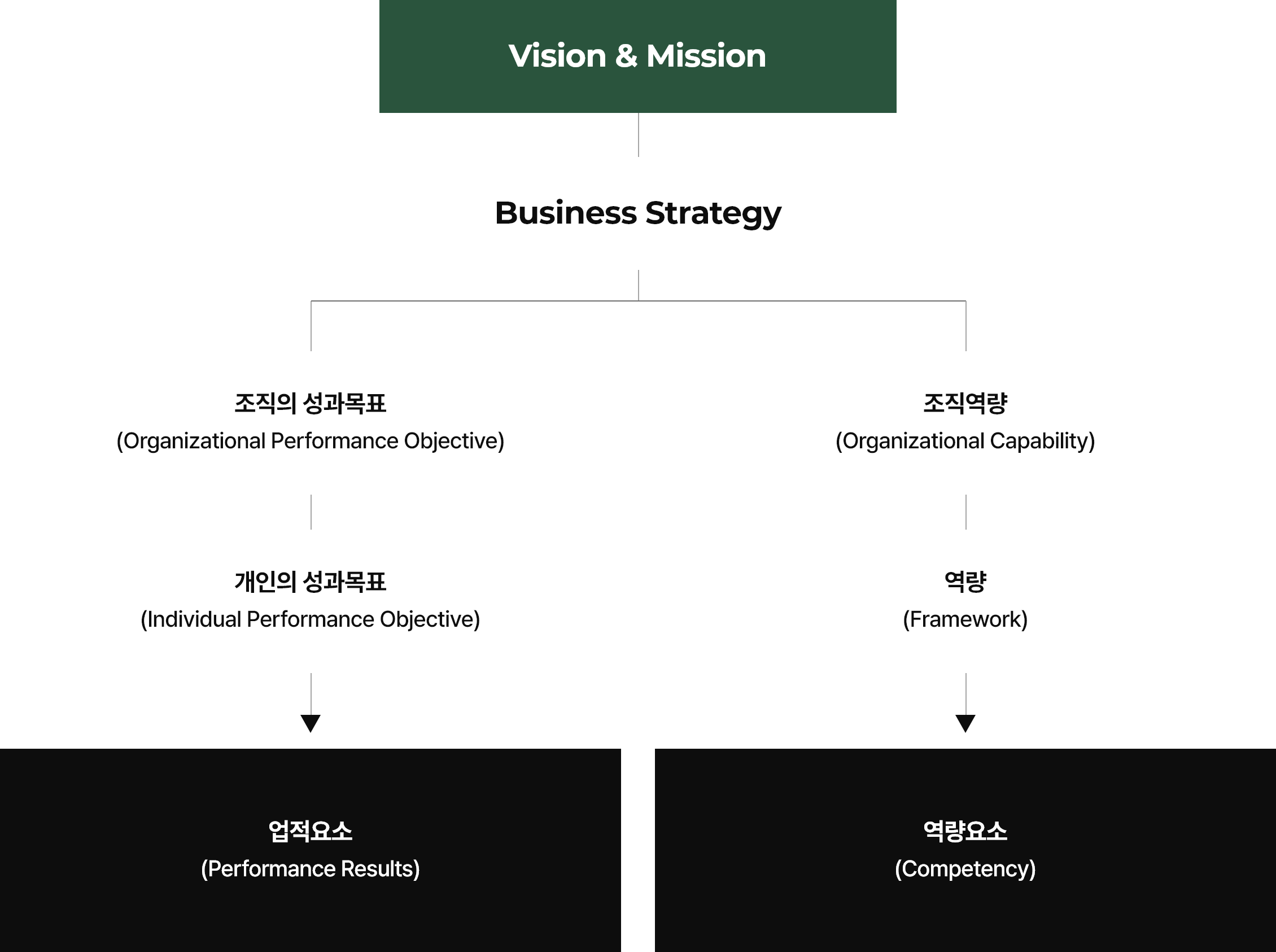 Vision & Mission 표